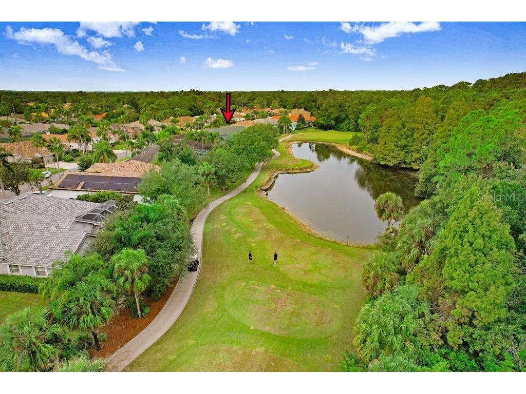 12009 Brewster Drive Tampa FL 33626 TB8432572 image51