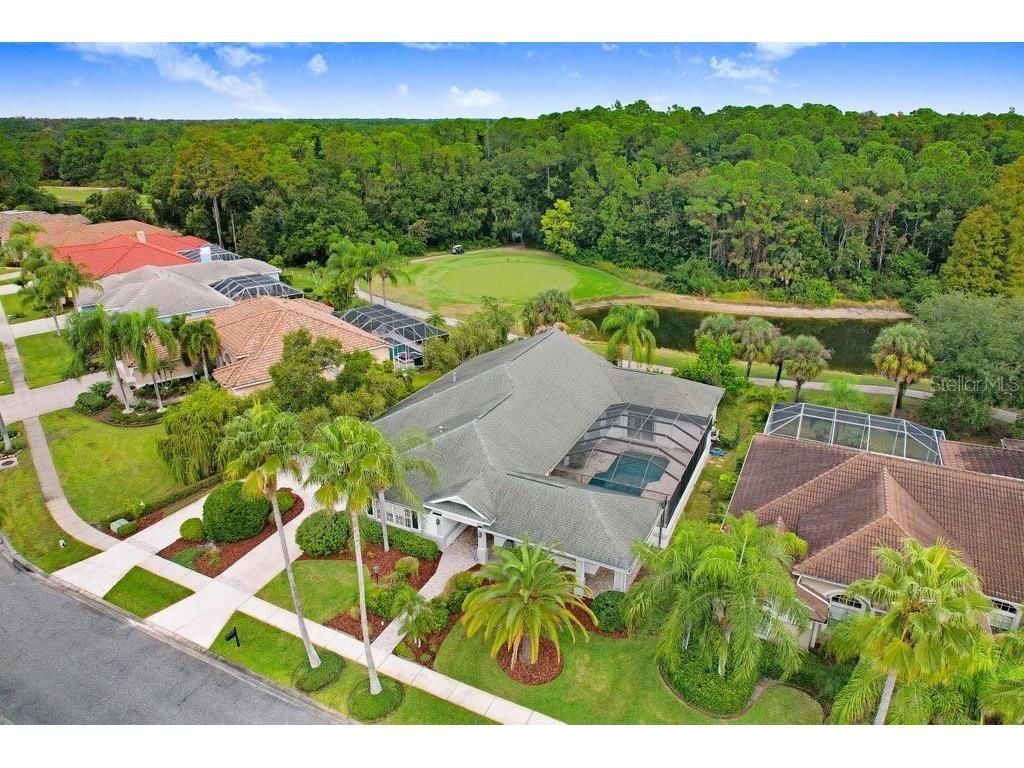 12009 Brewster Drive Tampa FL 33626 TB8432572 image53