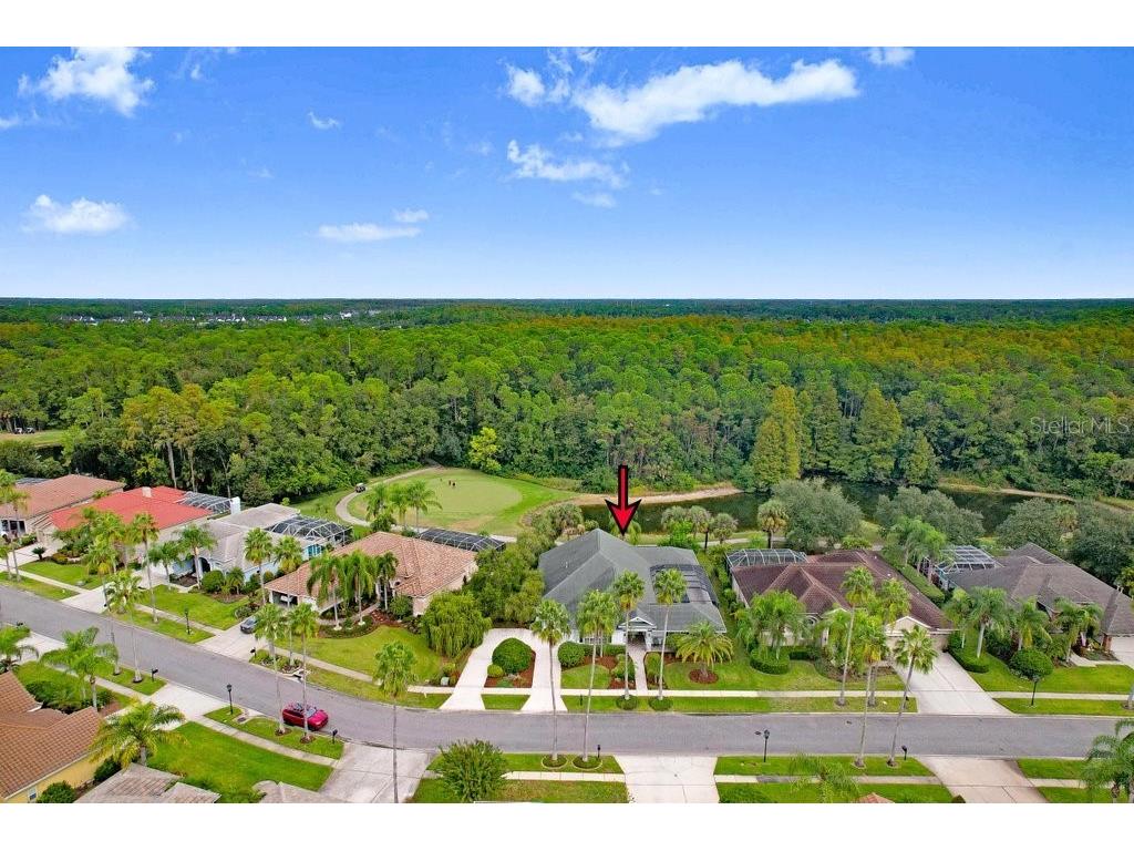 12009 Brewster Drive Tampa FL 33626 TB8432572 image54