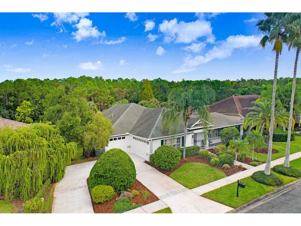 12009 Brewster Drive Tampa FL 33626 TB8432572 image55