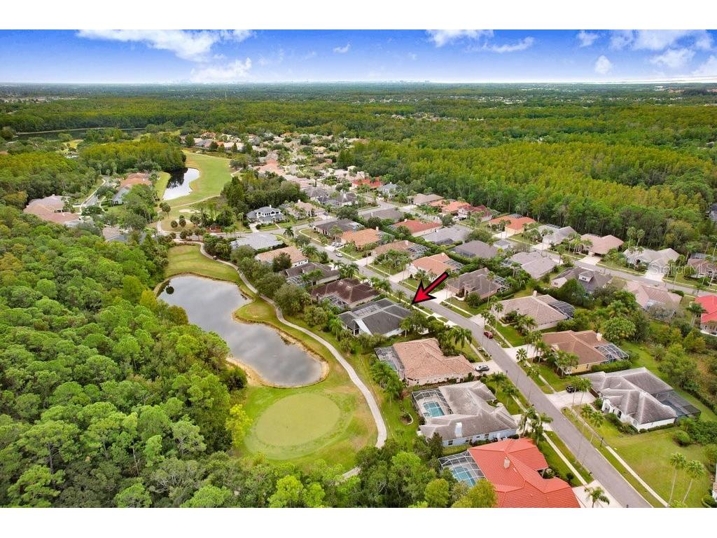 12009 Brewster Drive Tampa FL 33626 TB8432572 image56