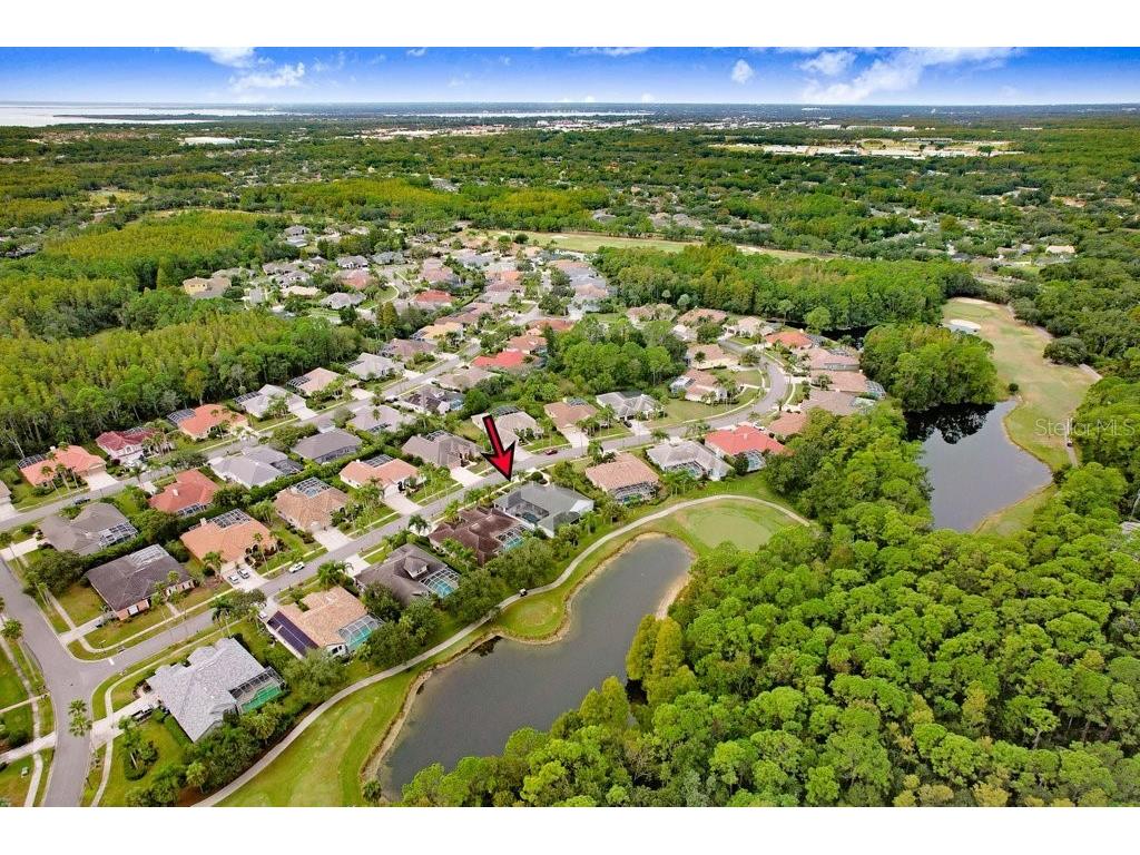 12009 Brewster Drive Tampa FL 33626 TB8432572 image57