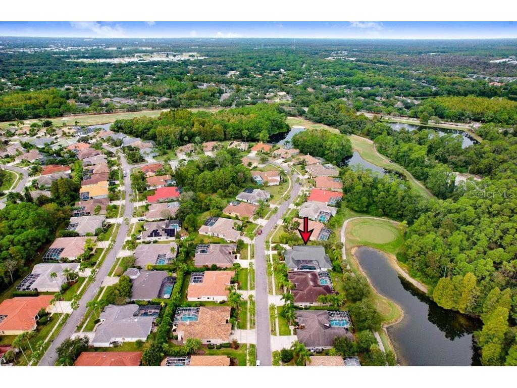 12009 Brewster Drive Tampa FL 33626 TB8432572 image58