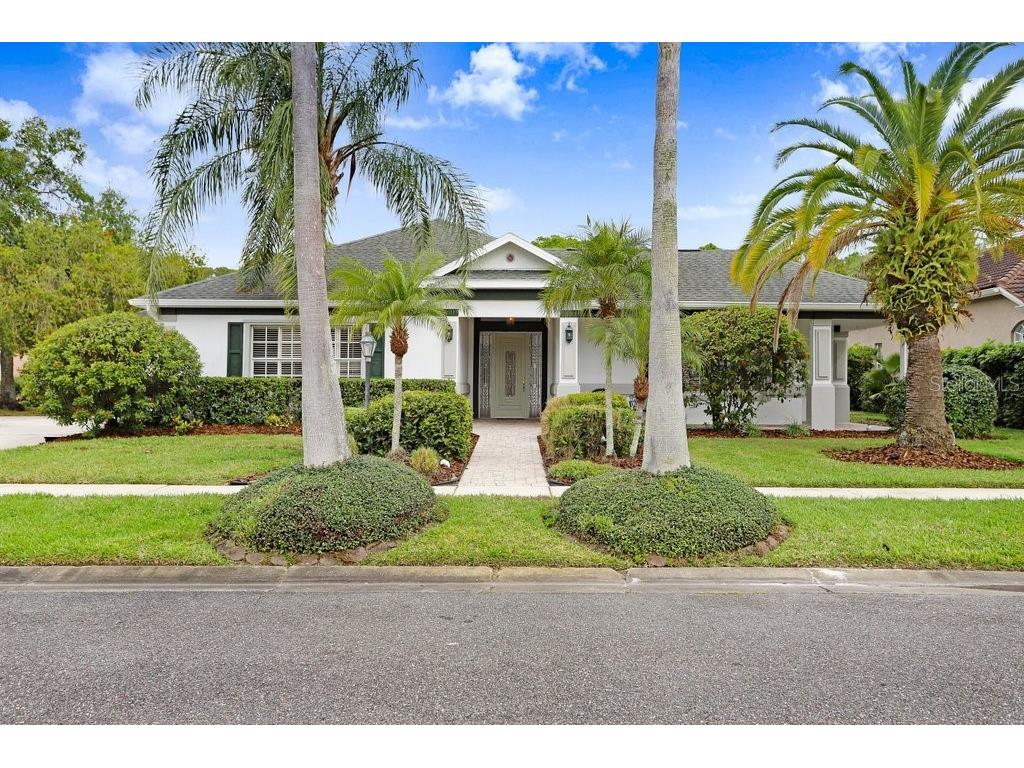 12009 Brewster Drive Tampa FL 33626 TB8432572 image60