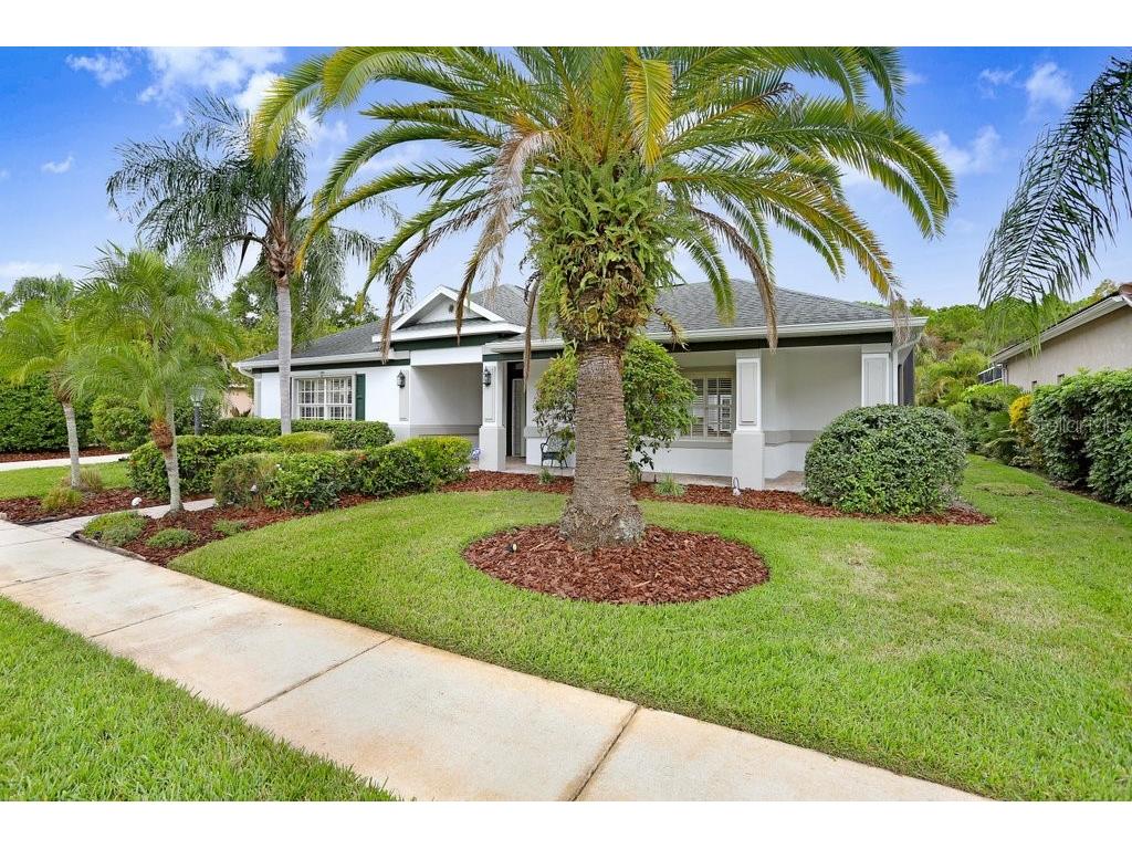 12009 Brewster Drive Tampa FL 33626 TB8432572 image61