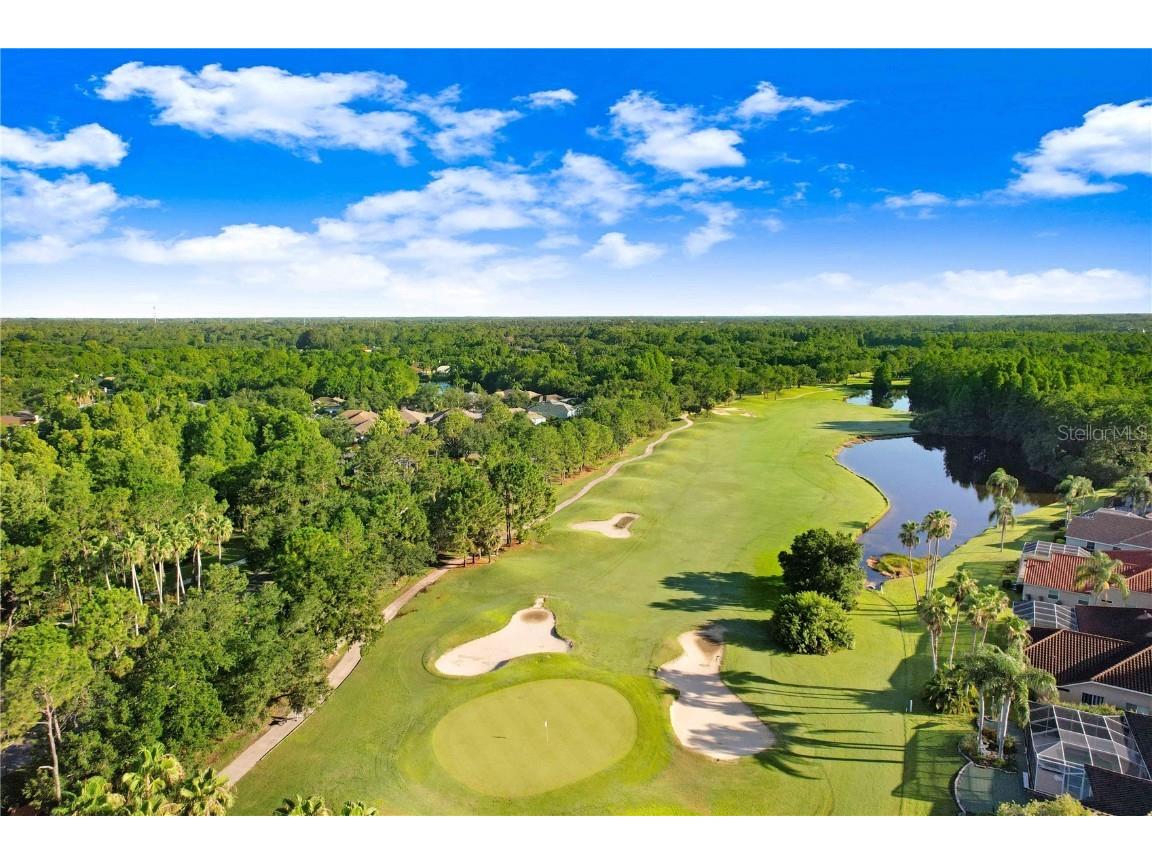 12009 Brewster Drive Tampa FL 33626 TB8432572 image66