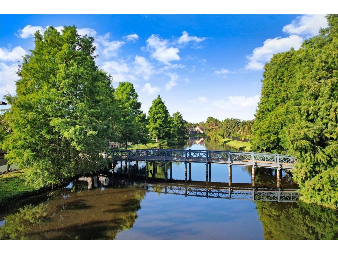 12009 Brewster Drive Tampa FL 33626 TB8432572 image69