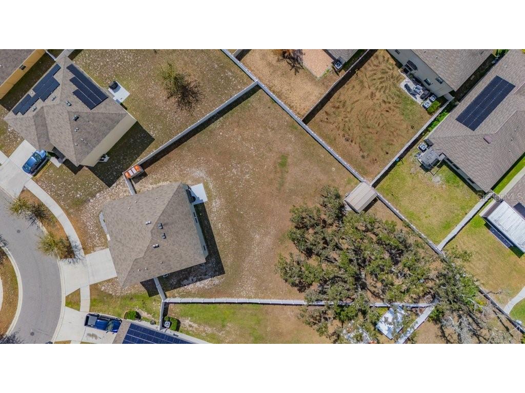 12009 Myrtle Rock Drive Riverview FL 33578 TB8484723 image1