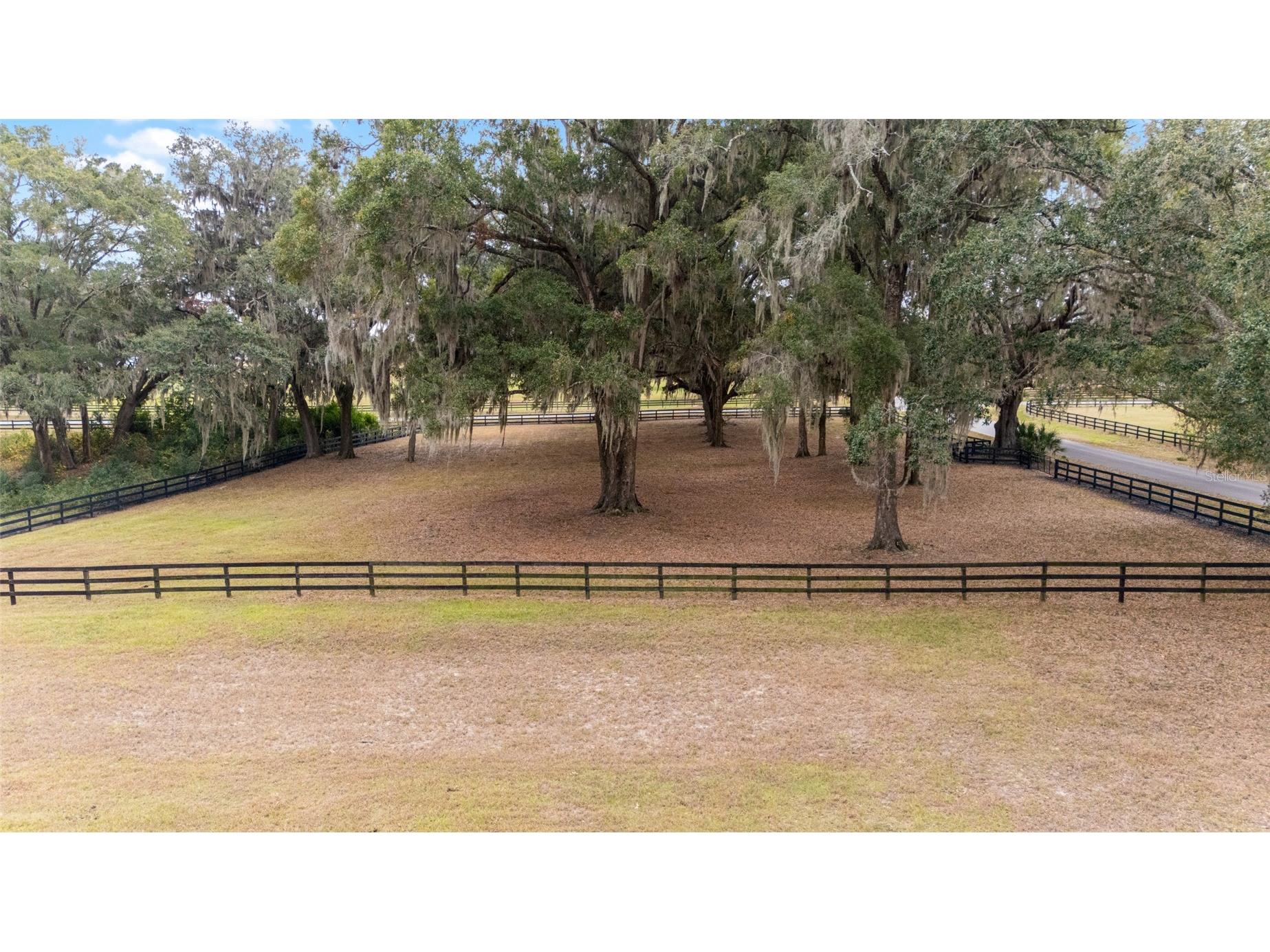 12009 NE 8th Court Ocala FL 34479 OM714699 image44