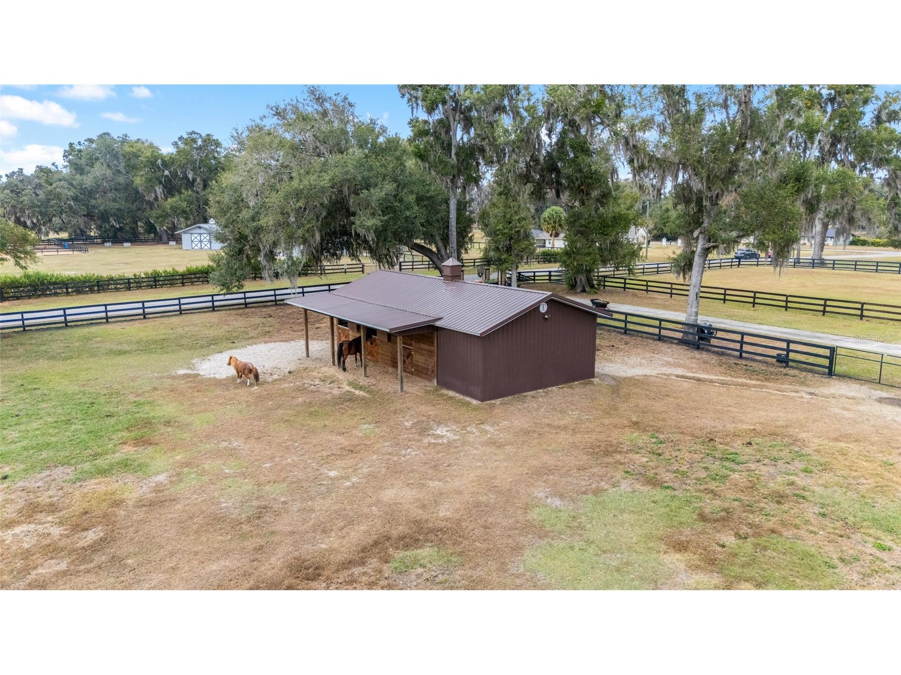 12009 NE 8th Court Ocala FL 34479 OM714699 image50