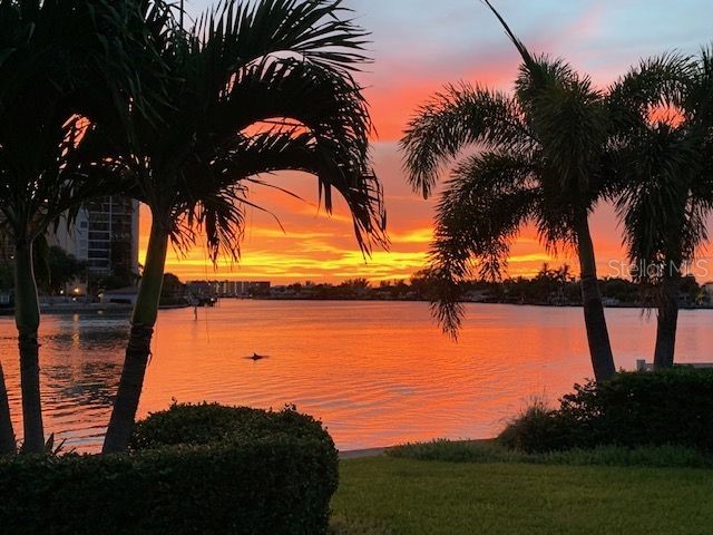 1201 81st Street S Saint Petersburg FL 33707 TB8512757 image2