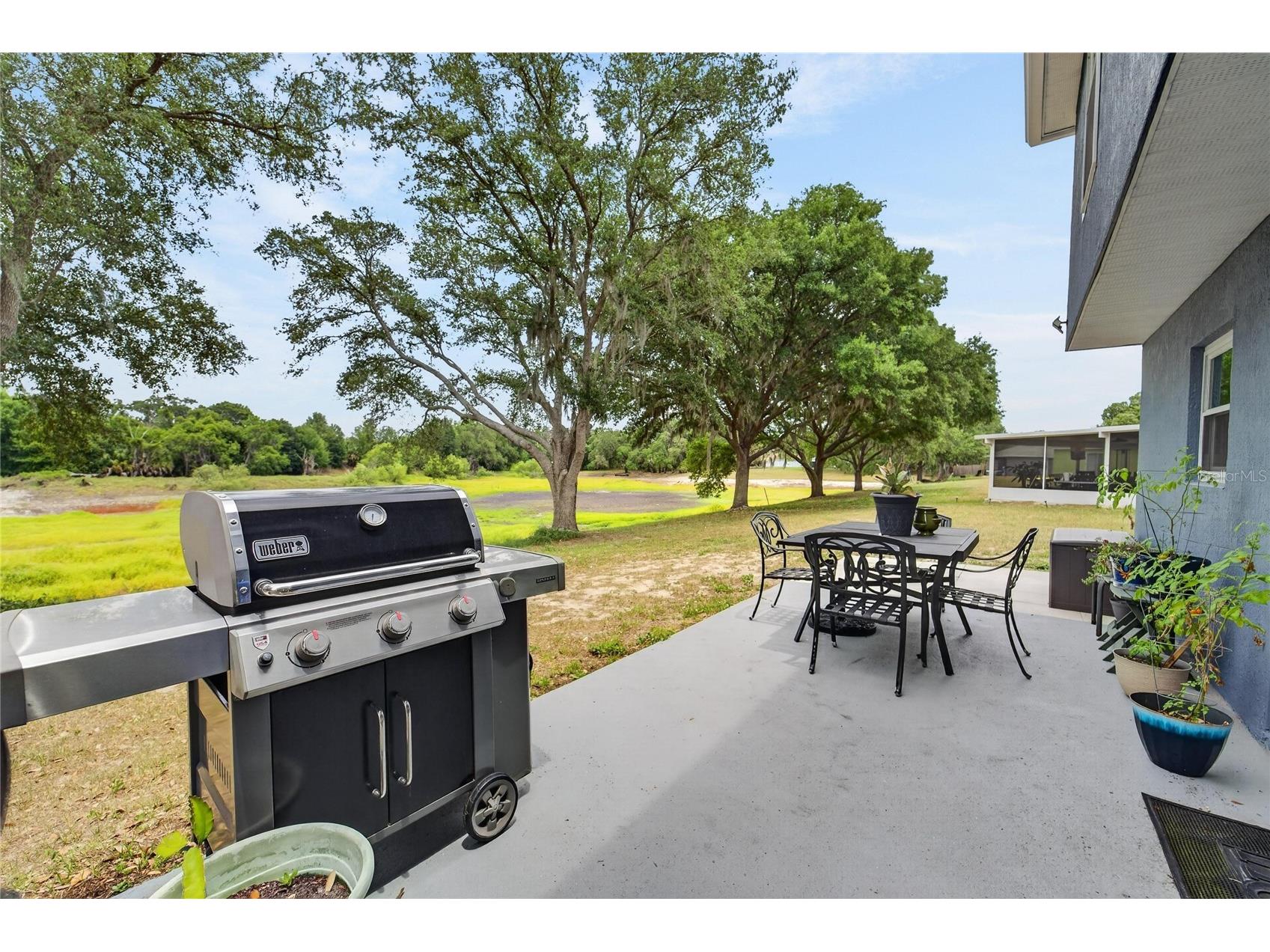 1201 Dragon Head Drive Valrico FL 33594 O6409409 image39