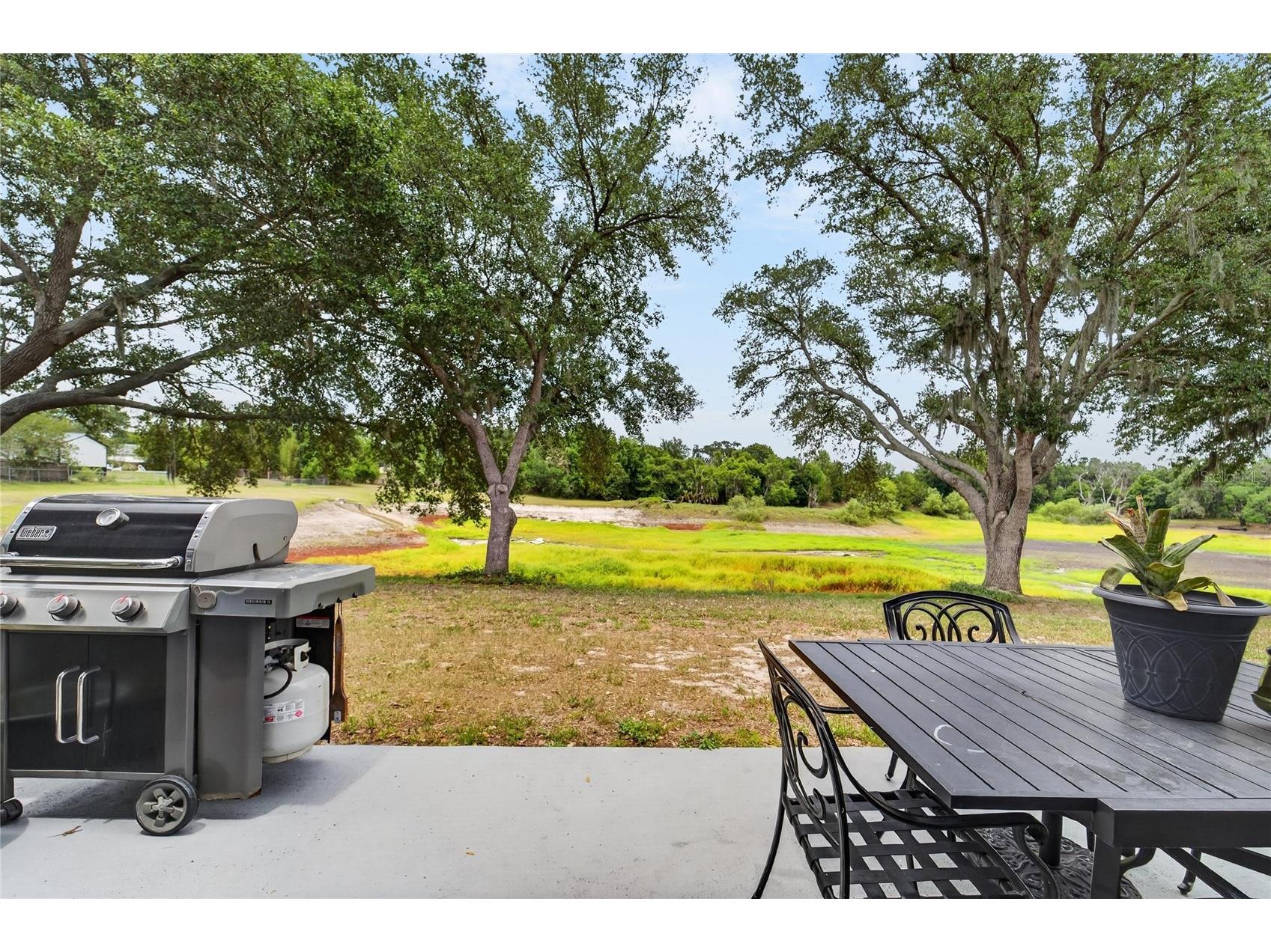 1201 Dragon Head Drive Valrico FL 33594 O6409409 image40