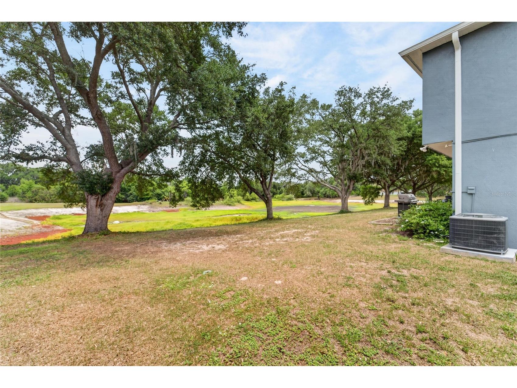 1201 Dragon Head Drive Valrico FL 33594 O6409409 image44