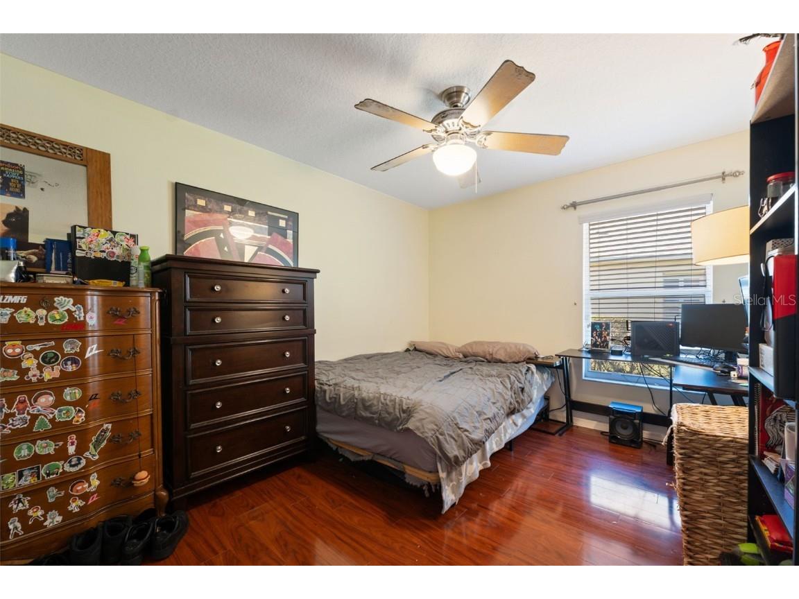 1201 Dustan Place Trinity FL 34655 W7880565 image31