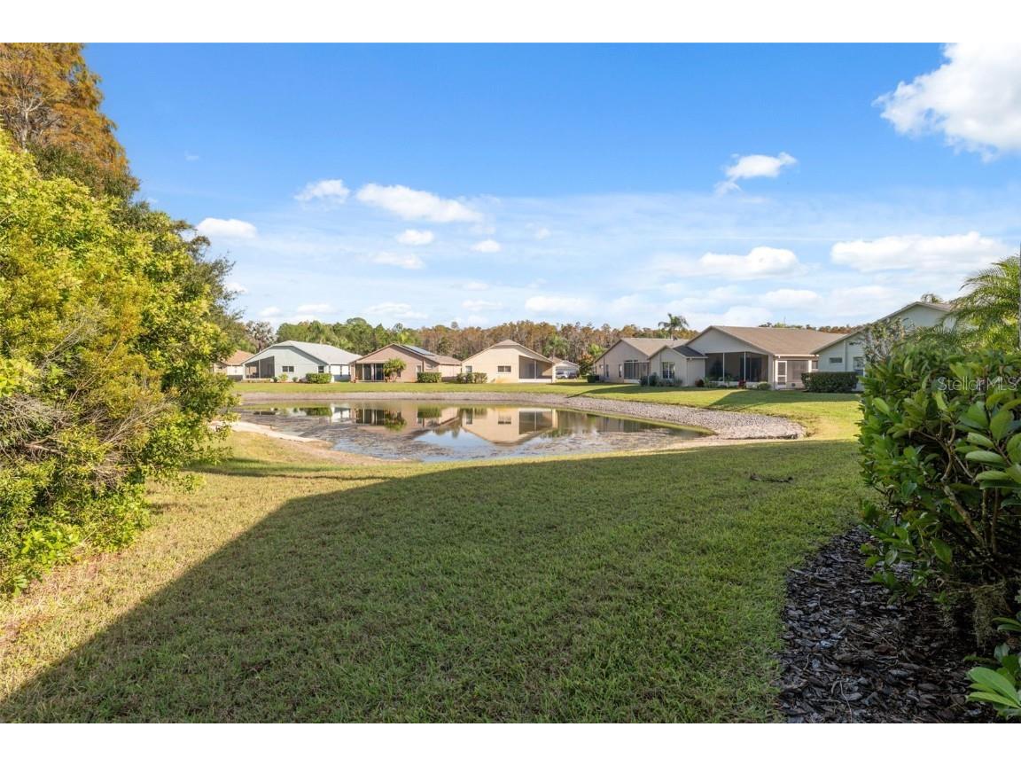 1201 Dustan Place Trinity FL 34655 W7880565 image36