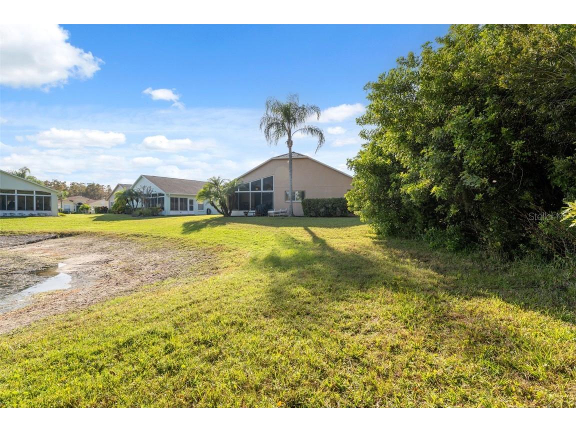 1201 Dustan Place Trinity FL 34655 W7880565 image37