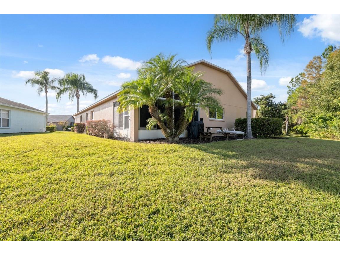 1201 Dustan Place Trinity FL 34655 W7880565 image38