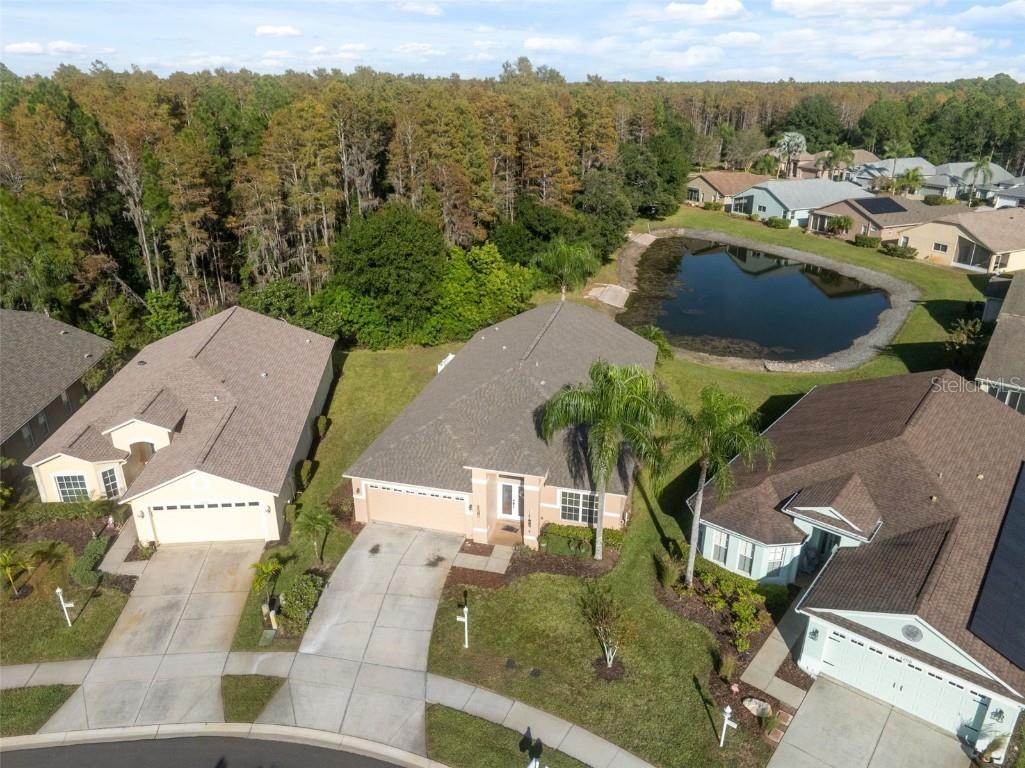 1201 Dustan Place Trinity FL 34655 W7880565 image44