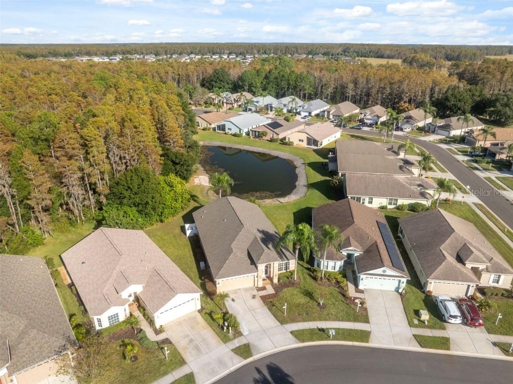 1201 Dustan Place Trinity FL 34655 W7880565 image45