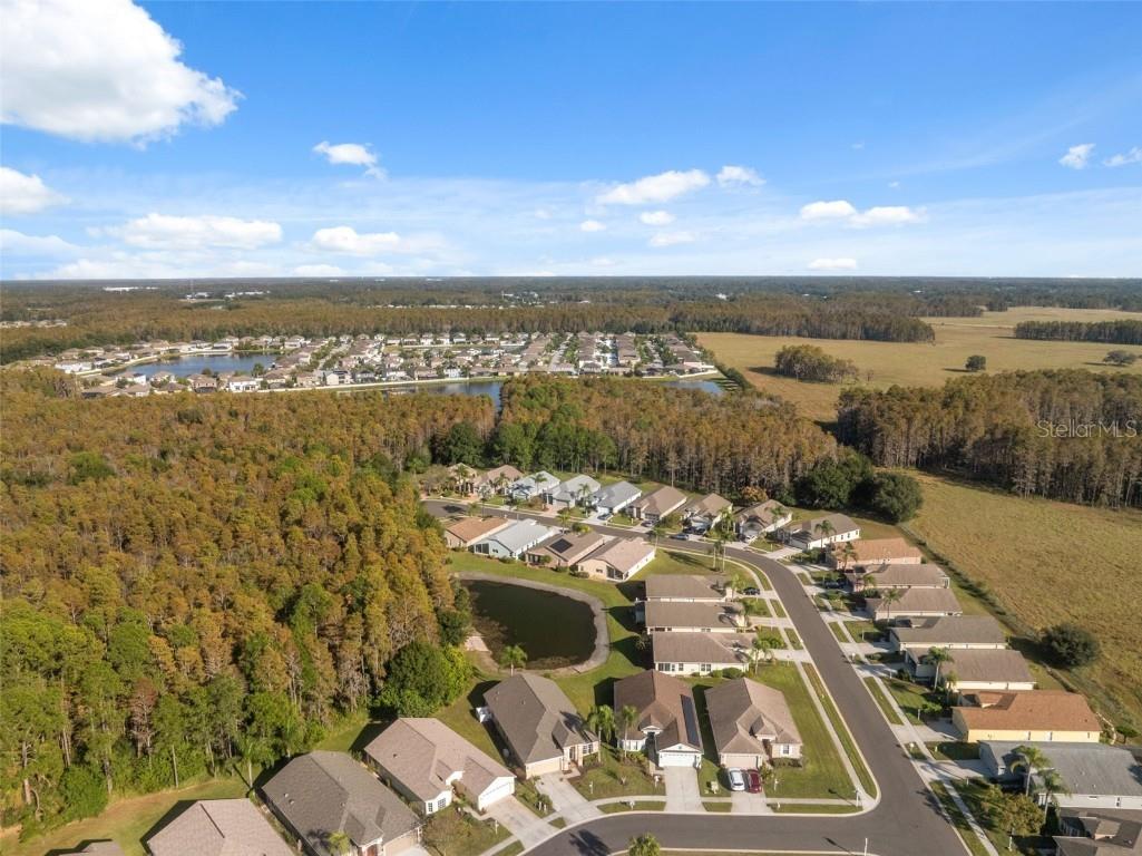 1201 Dustan Place Trinity FL 34655 W7880565 image46