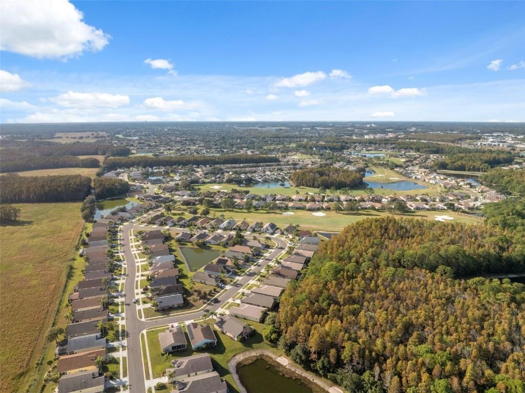 1201 Dustan Place Trinity FL 34655 W7880565 image49