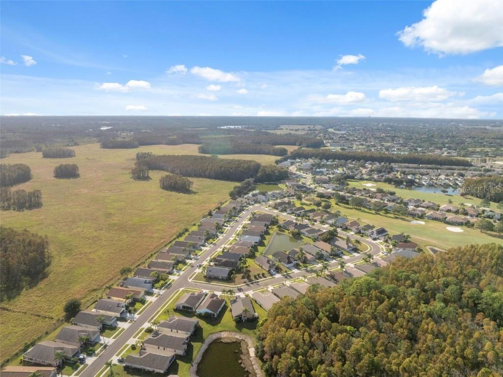 1201 Dustan Place Trinity FL 34655 W7880565 image50