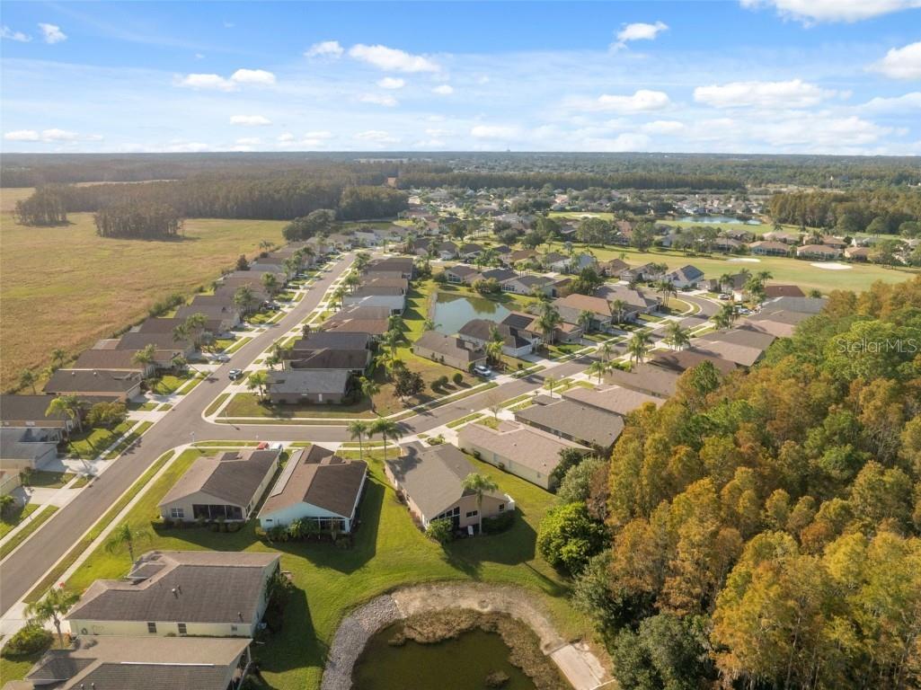 1201 Dustan Place Trinity FL 34655 W7880565 image51