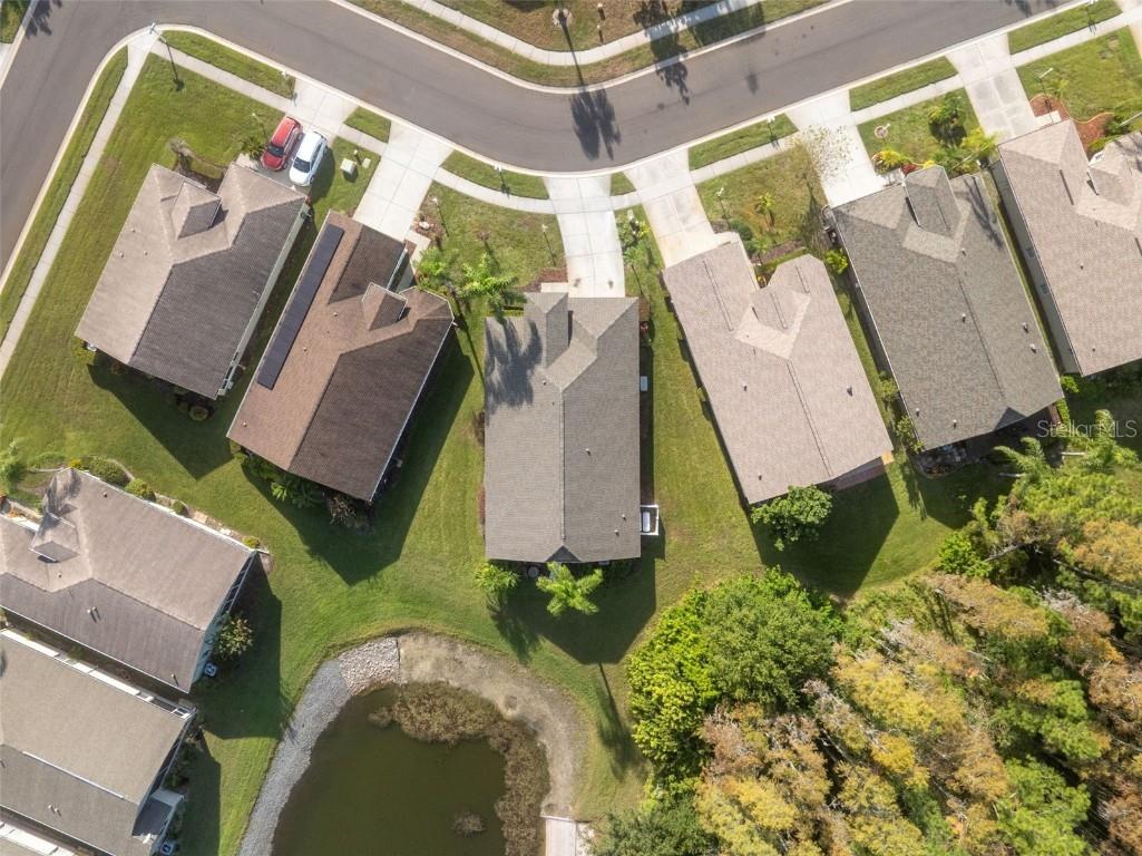 1201 Dustan Place Trinity FL 34655 W7880565 image52