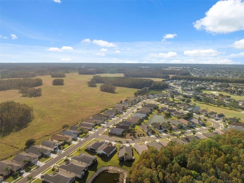 1201 Dustan Place Trinity FL 34655 W7880565 image53