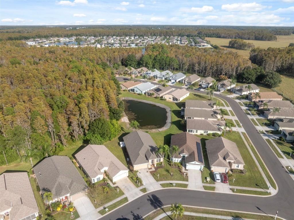 1201 Dustan Place Trinity FL 34655 W7880565 image55