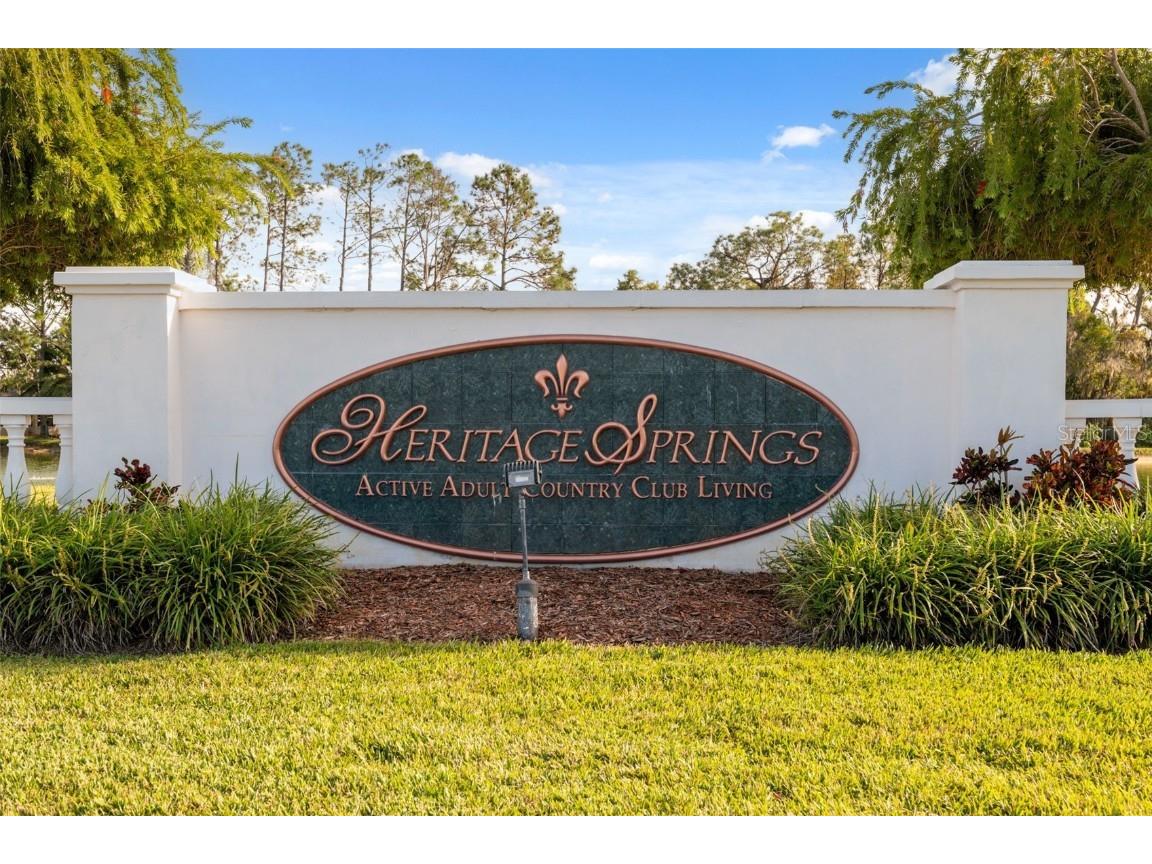 1201 Dustan Place Trinity FL 34655 W7880565 image56