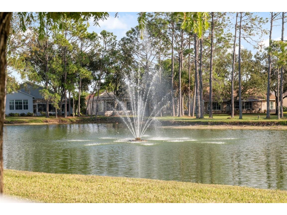 1201 Dustan Place Trinity FL 34655 W7880565 image58