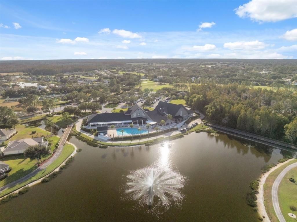 1201 Dustan Place Trinity FL 34655 W7880565 image67