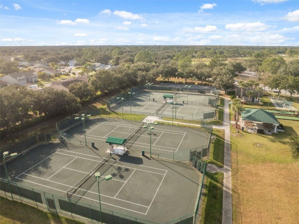 1201 Dustan Place Trinity FL 34655 W7880565 image68