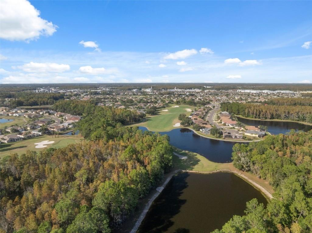 1201 Dustan Place Trinity FL 34655 W7880565 image72