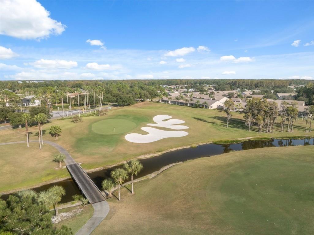 1201 Dustan Place Trinity FL 34655 W7880565 image73