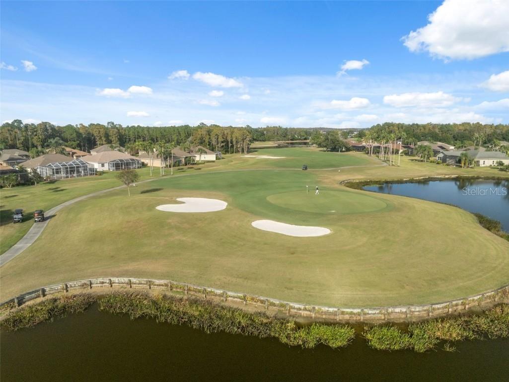 1201 Dustan Place Trinity FL 34655 W7880565 image75