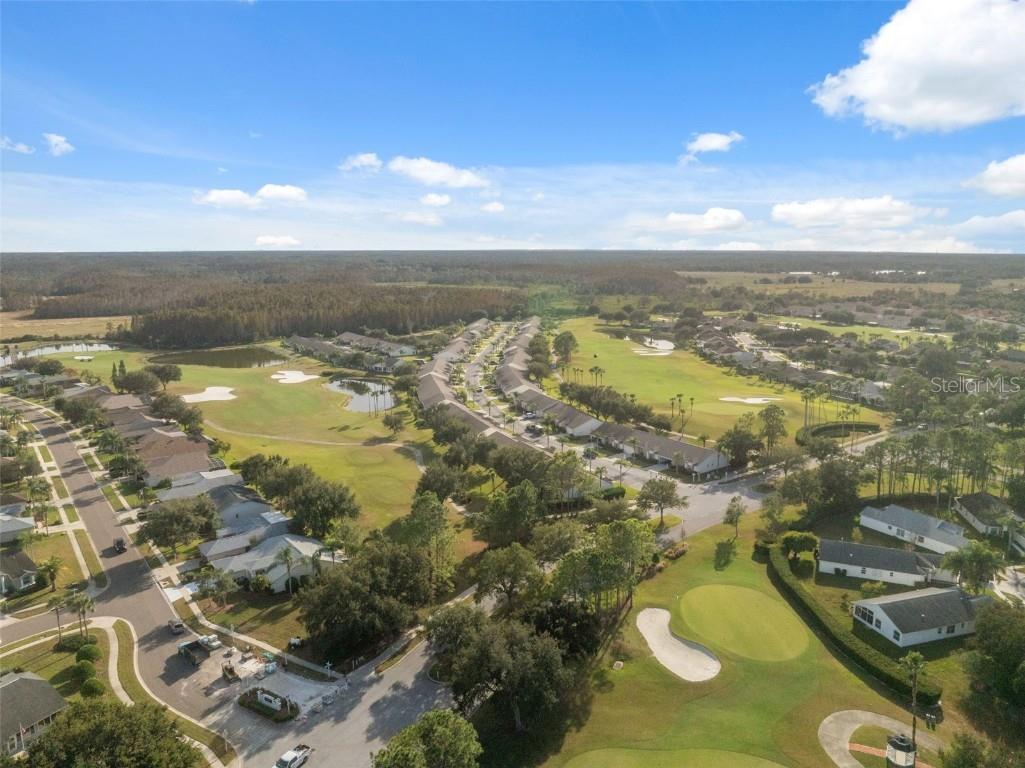 1201 Dustan Place Trinity FL 34655 W7880565 image76