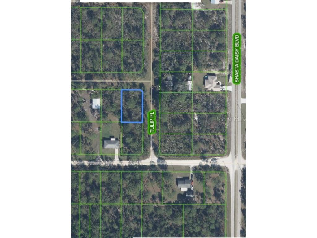 1201 Honeysuckle Street Sebring FL 33875 O6131353 image1