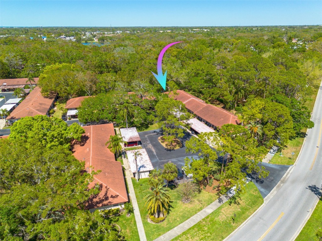 1201 Montrose Place Dunedin FL 34698 TB8366811 image1