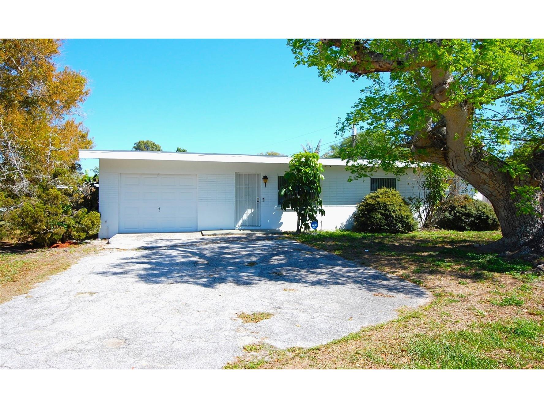 1201 S Betty Lane Clearwater FL 33756 TB8489173 image1