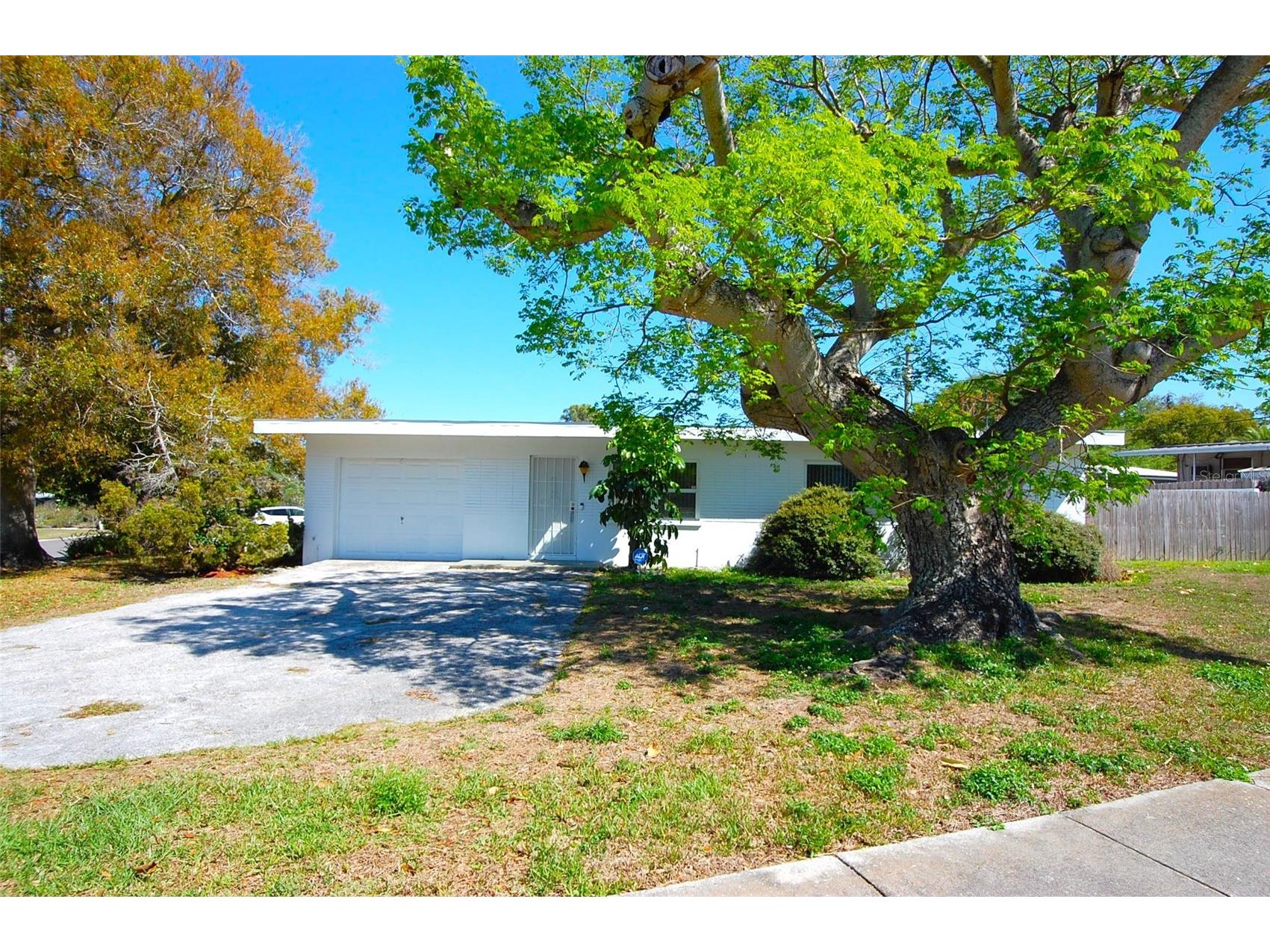 1201 S Betty Lane Clearwater FL 33756 TB8489173 image16