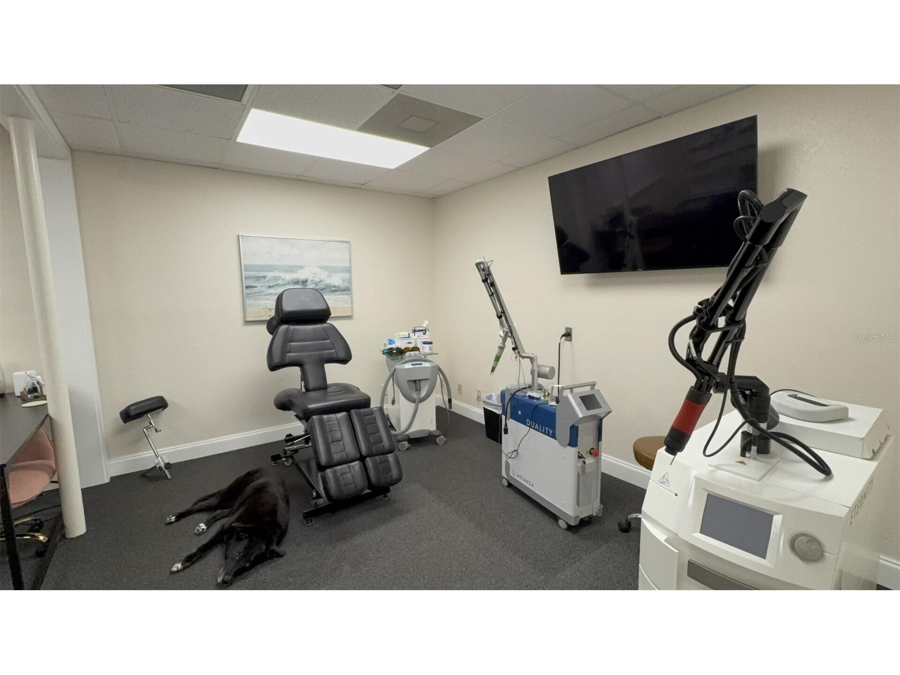 1201 S Highland Avenue #7 Clearwater FL 33756 TB8509757 image9
