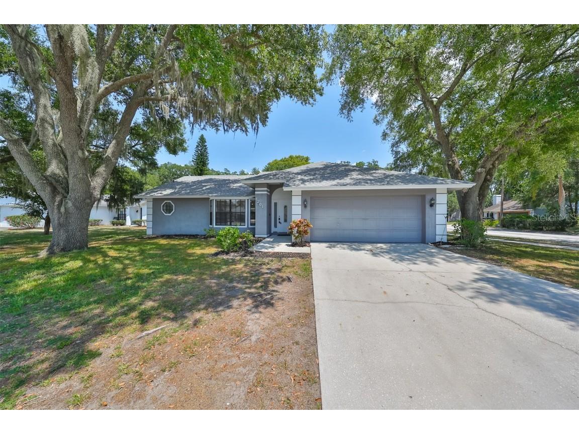 1201 Sail Way Valrico FL 33594 T3531719 image1