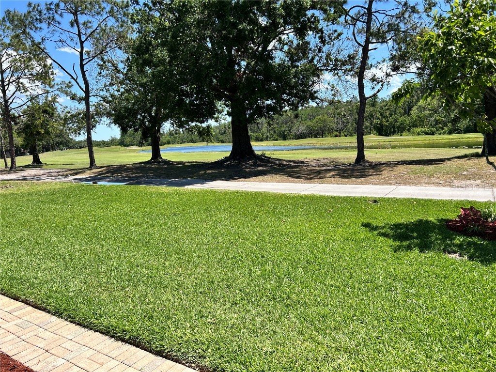 1201 Ventana Drive Sun City Center FL 33573 TB8374237 image37