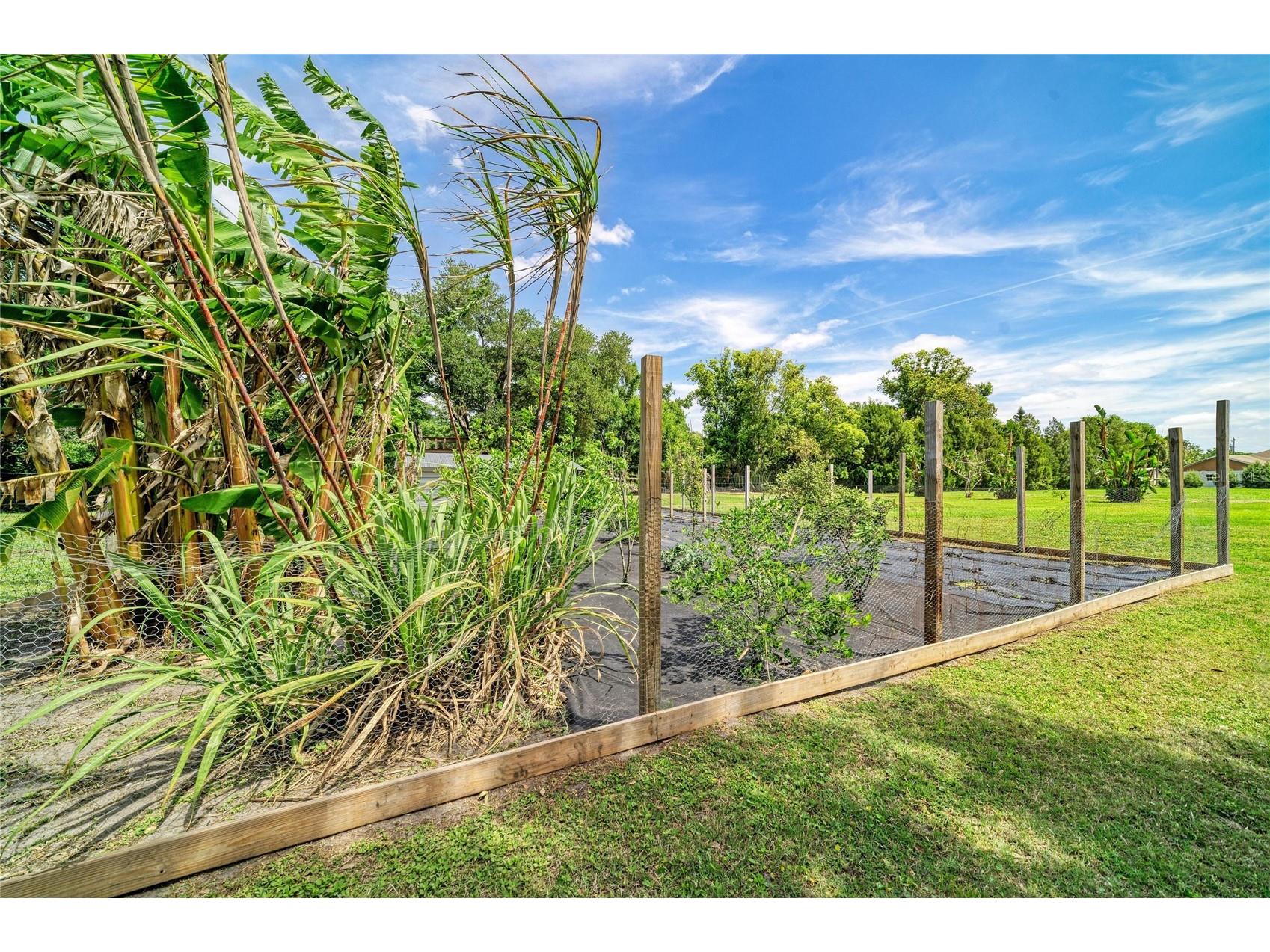 12010 69th Street E Parrish FL 34219 A4689877 image48