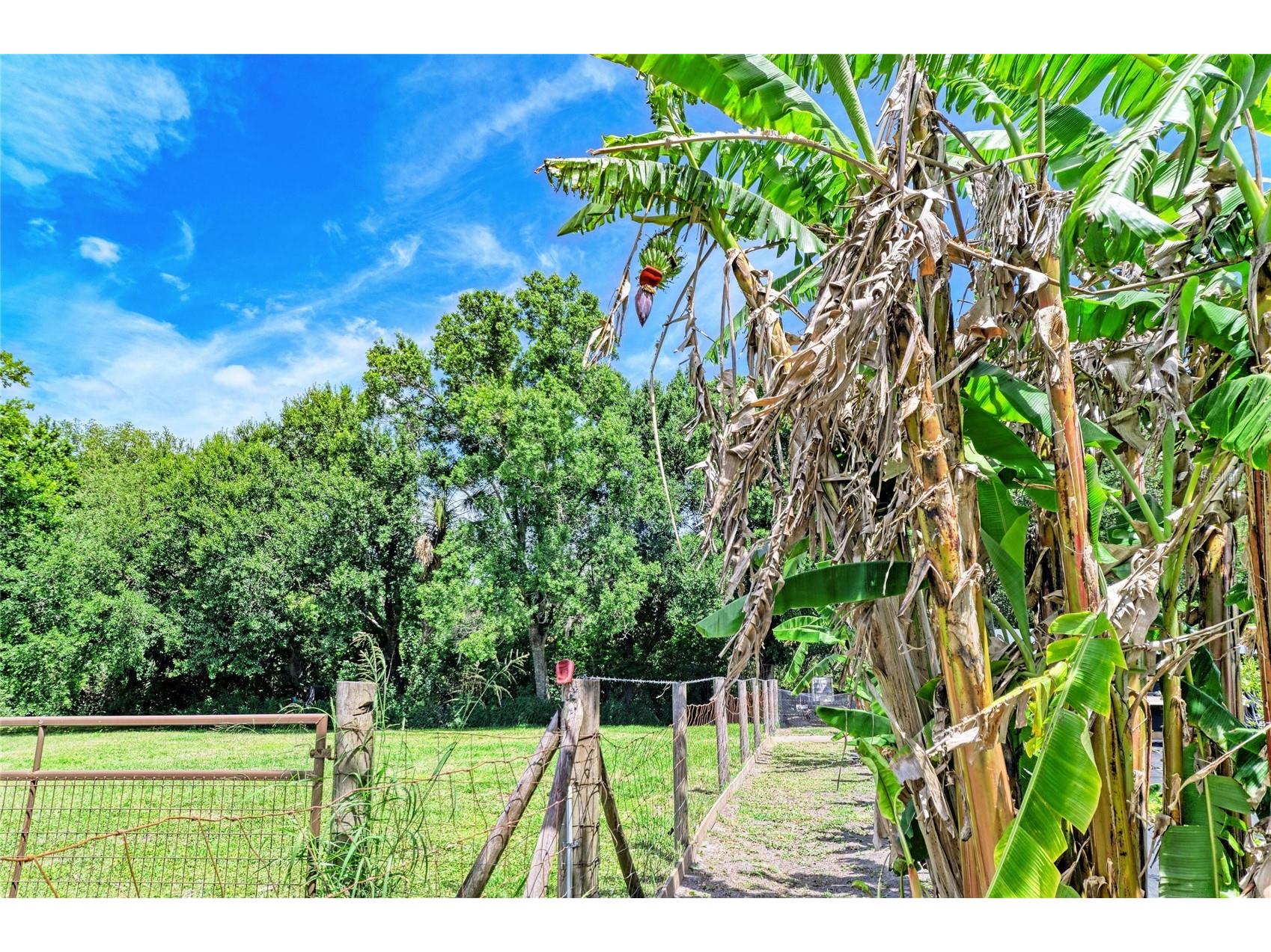 12010 69th Street E Parrish FL 34219 A4689877 image57