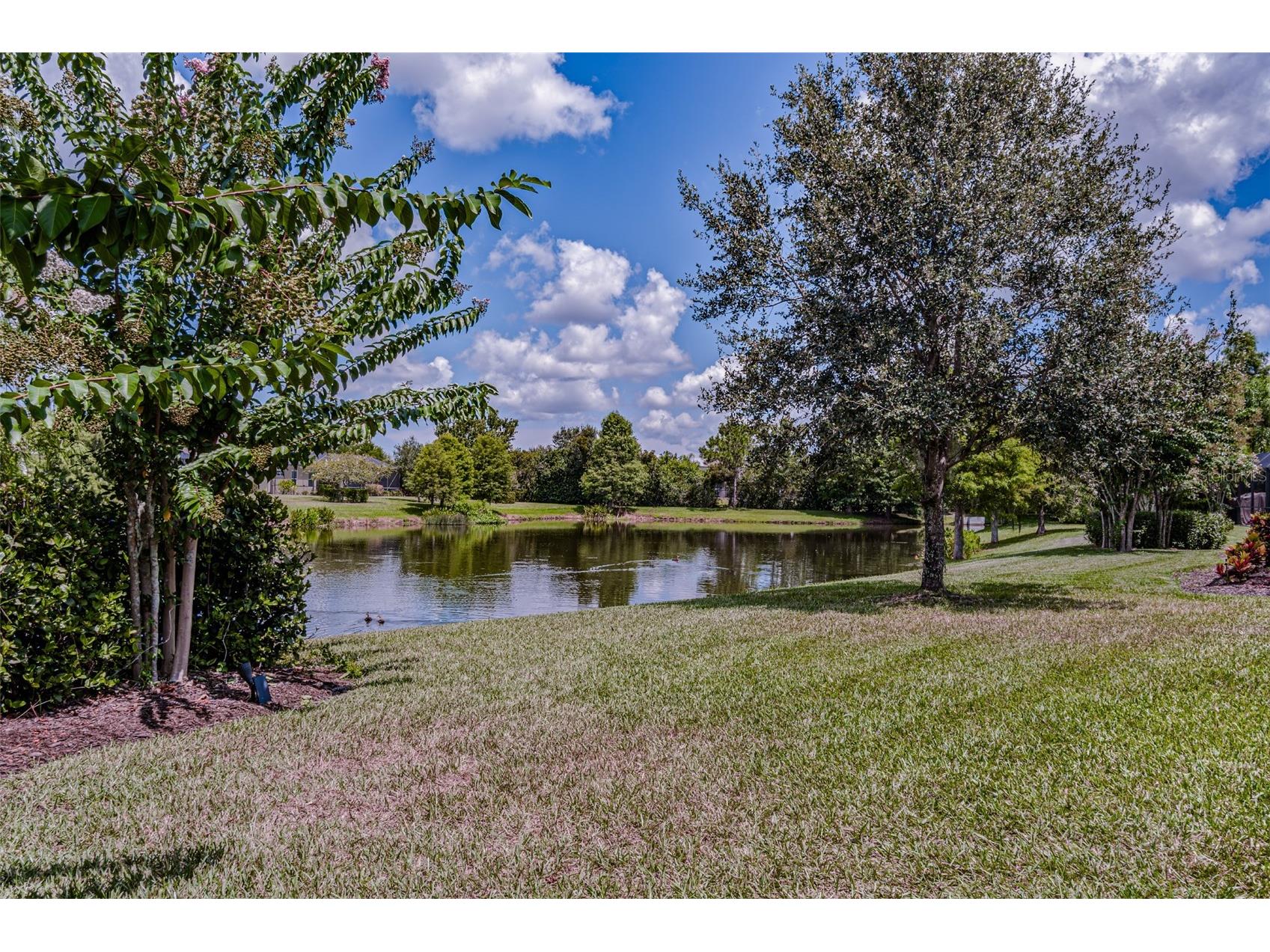 12010 Major Turner Run Parrish FL 34219 A4686526 image29