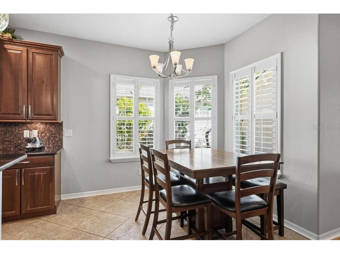 12010 San Chaliford Court Tampa FL 33626 O6352388 image10